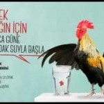 Güne Bir Bardak Su içerek Başlayın Türk Böbrek Vakfı