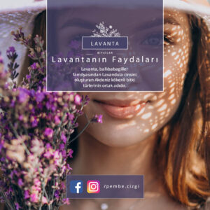 Lavantanın Bilinmeyen Faydaları